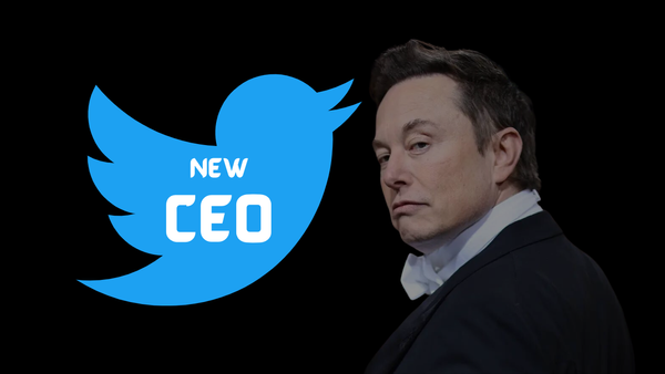 Elon Musk's Twist in Twitter's Tale: New CEO on the Way